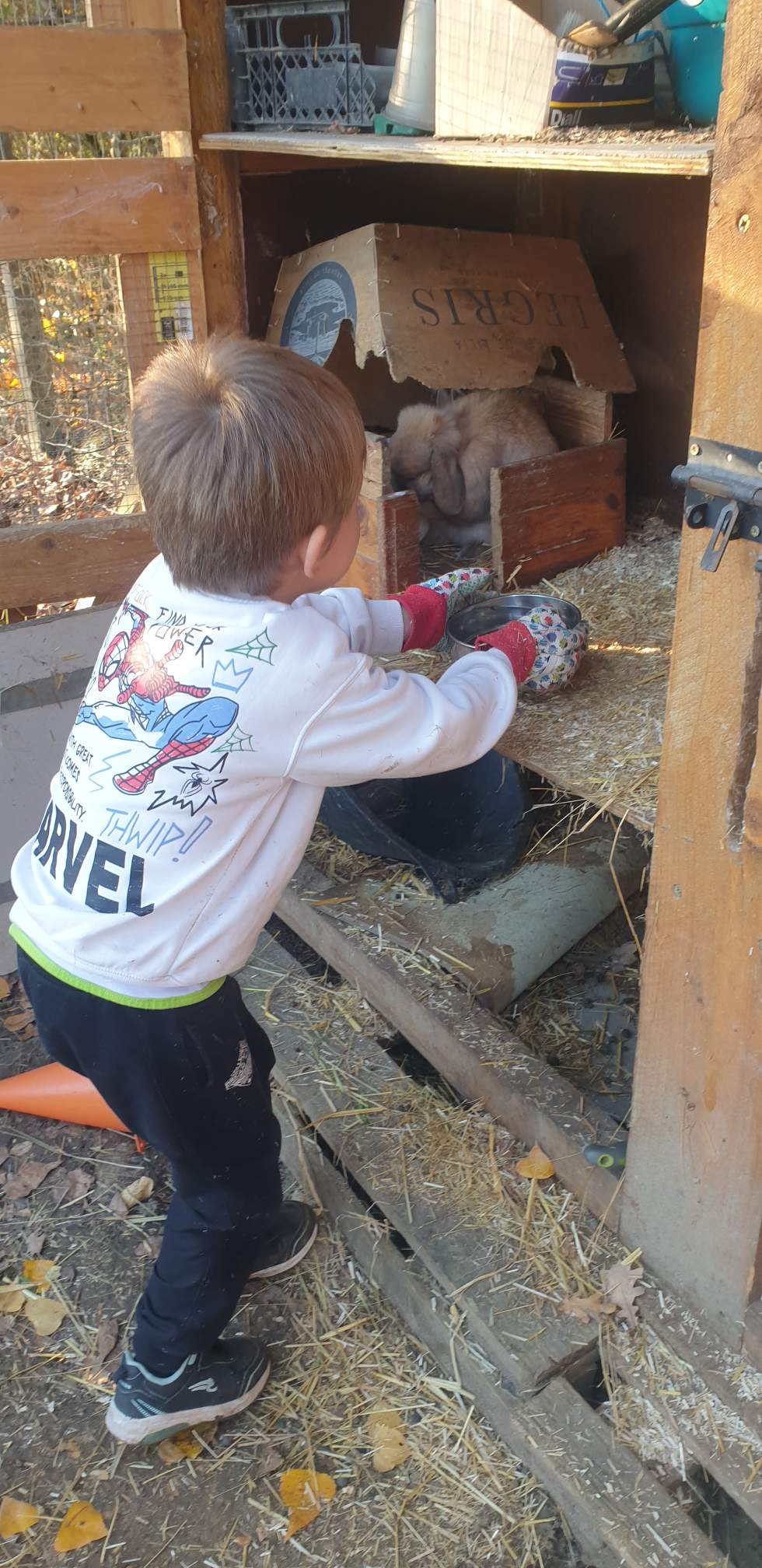 Atelier éveil bébé 1