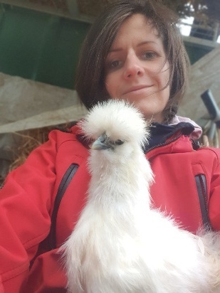 Animal de la ferme disponible à l'adoption