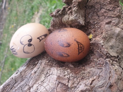 Activités de Pâques à la ferme