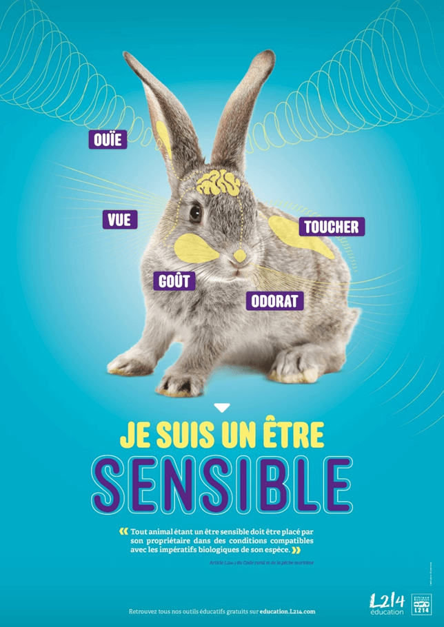 affiche l214