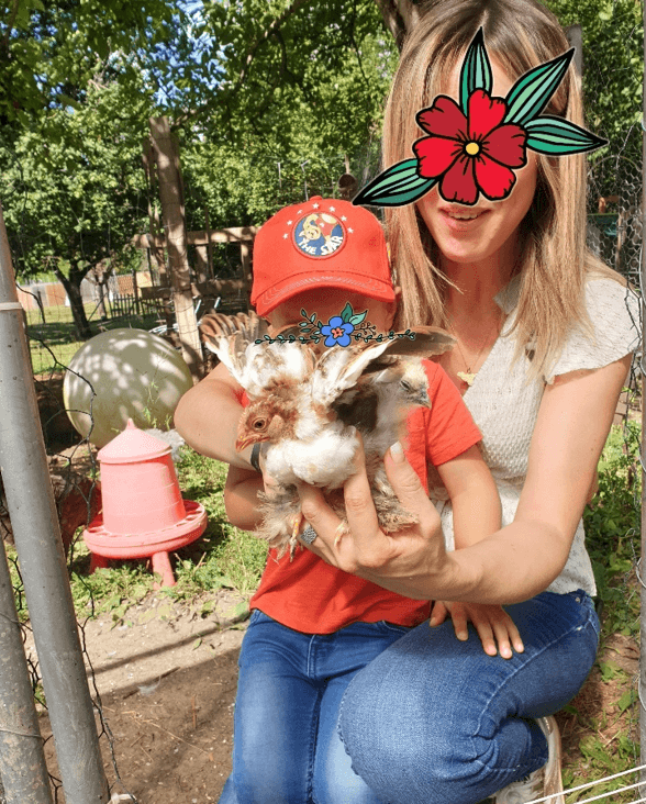 Visite de la ferme - activités avec les animaux